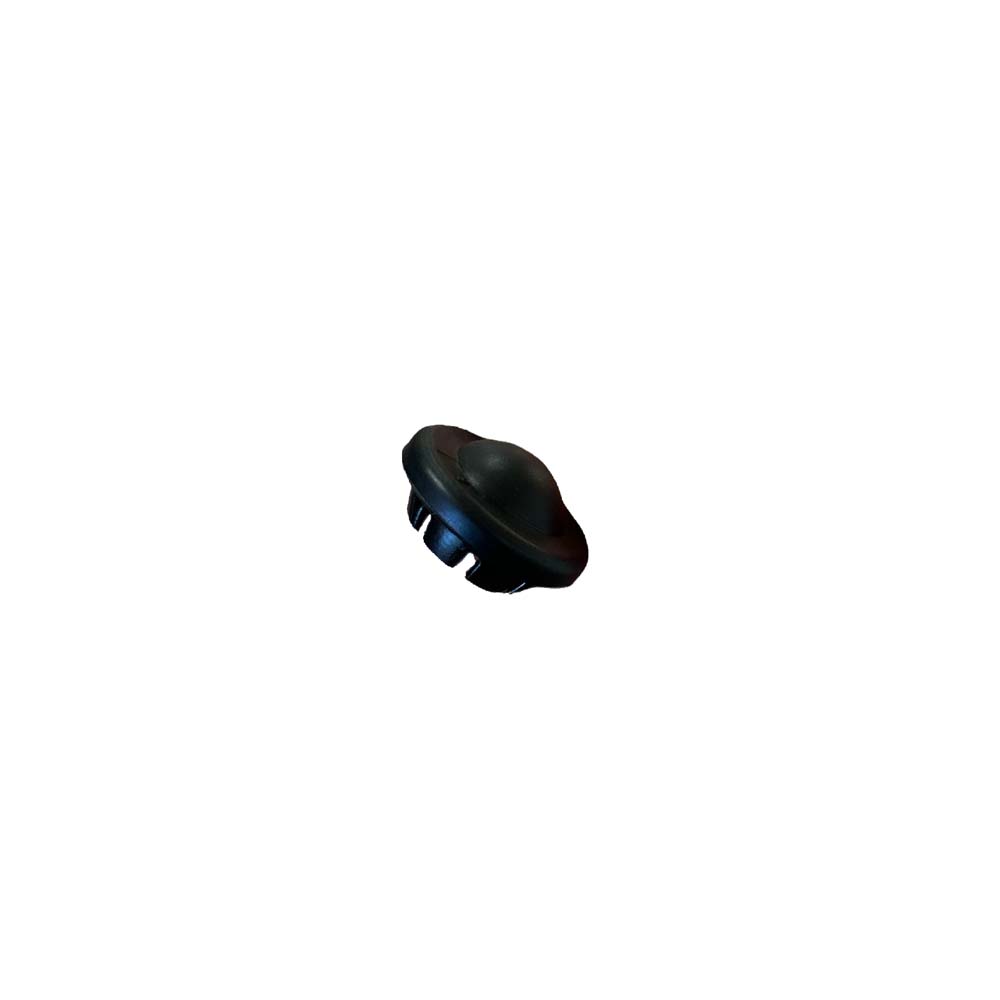 Plastic cap for clutch tappet DQ200 DSG Mechatronik | DQ200 | 0AM & 0CW